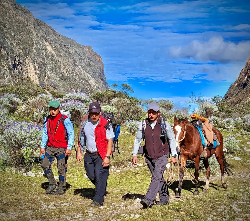 2004 — Campamentos de nivel internacional