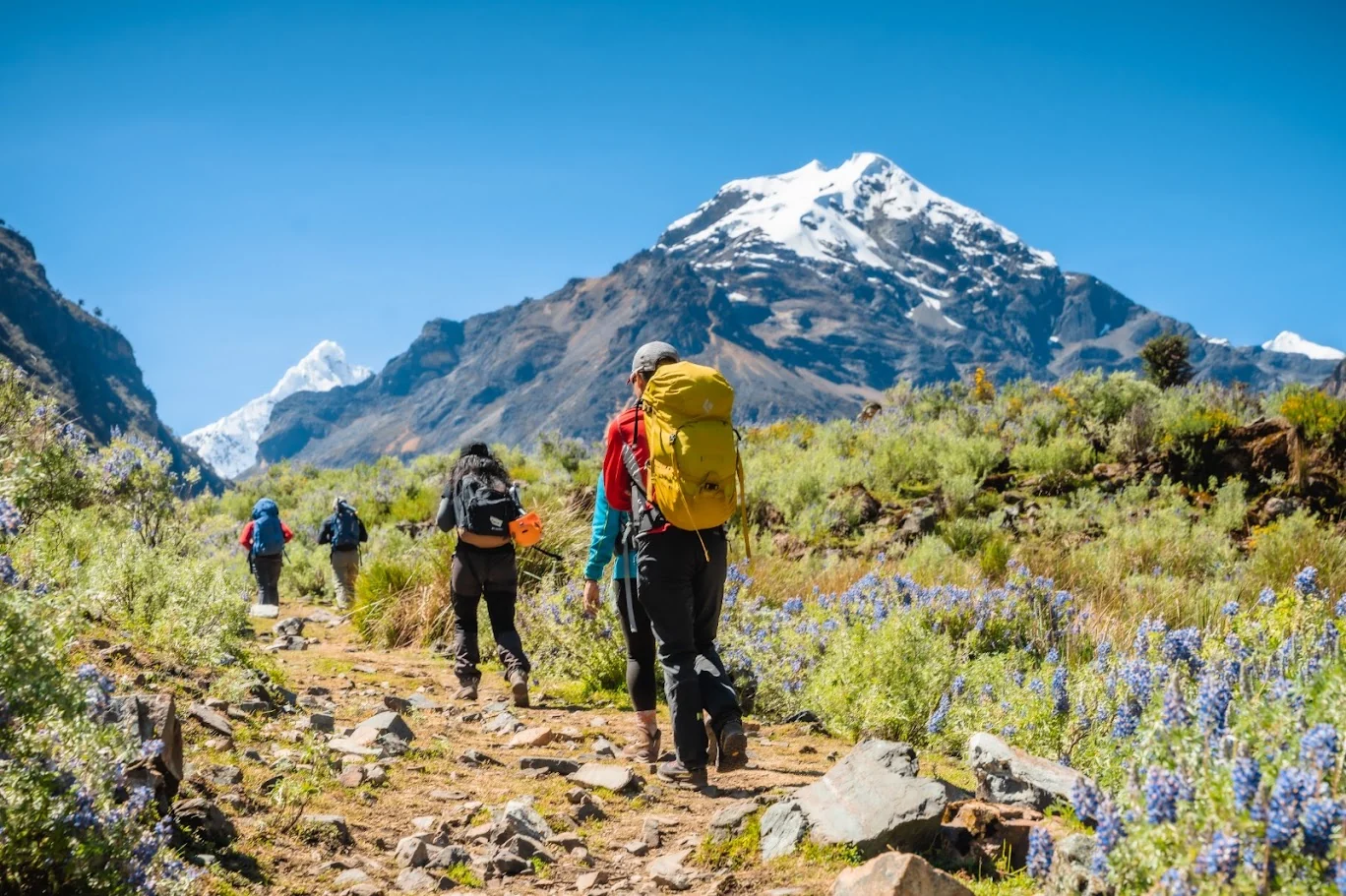Born among the peaks we guide