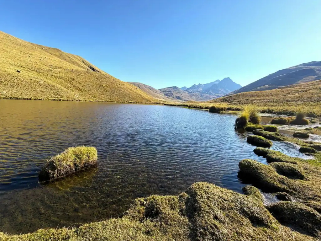 Queshque Lakes & Puya Raymondi Forest Hike