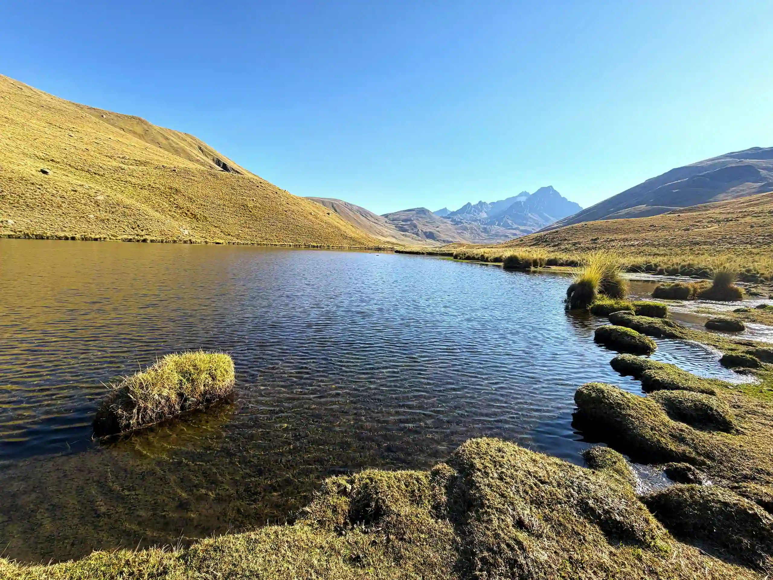 Queshque Lakes & Puya Raymondi Forest Hike